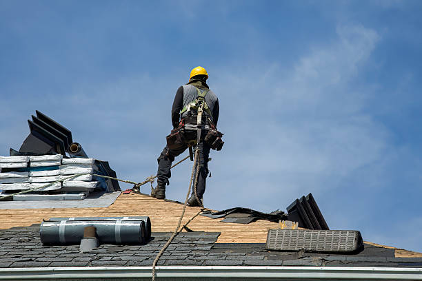 Professional Gutter Installation technician working in Fosters, AL